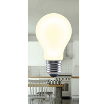4000 Kelvin Lampe