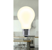 Glühbirne mit 4000 Kelvin Lichtfarbe