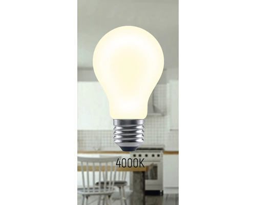 Glühbirne mit 4000 Kelvin Lichtfarbe