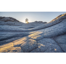 Landschaft mit Baum und Felsen