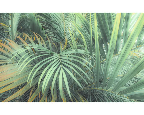 Fototapete Vlies PSH107-VD4 Foggy Fern 4-tlg. 400 x 250 cm Nahaufnahme von Palmenblättern