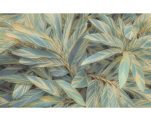 Fototapete Vlies PSH111-VD4 Amazonia Vibes 4-tlg. 400 x 250 cm Nahaufnahme von Ingwergewächsen mit gestreiften Blättern.