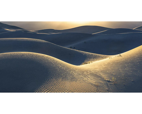 Dünenlandschaft mit Sandwellen und vereinzelter Vegetation