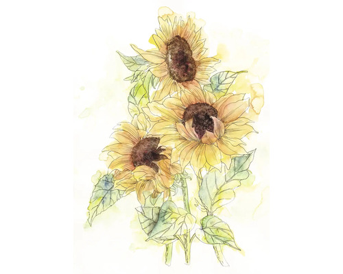 Illustration von drei Sonnenblumen mit Blättern