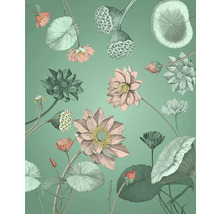 Illustration von Lotusblüten und -blättern auf einfarbigem Hintergrund