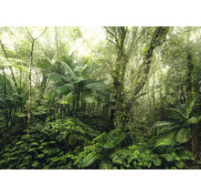Dichter tropischer Wald mit üppiger Vegetation