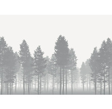 Illustration eines dichten Waldes im Nebel