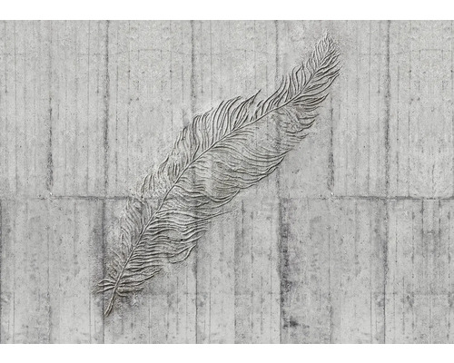 Betonwand mit Federrelief