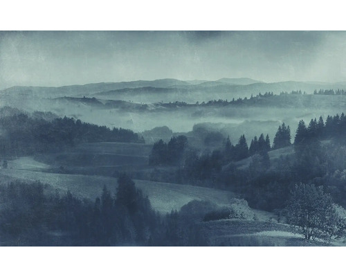 Landschaftsbild mit Bergen, Wäldern und Nebel