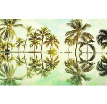Palmwedel mit Spiegelbild im Wasser