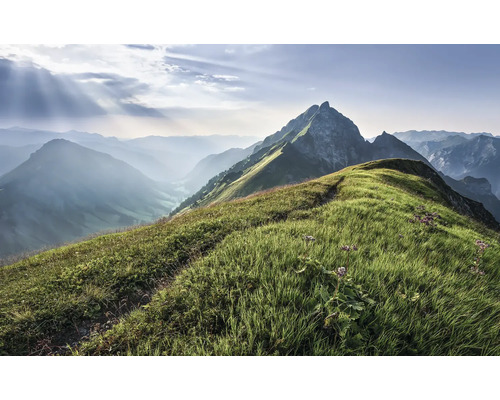 Berglandschaft mit Wiesen und Berggipfeln