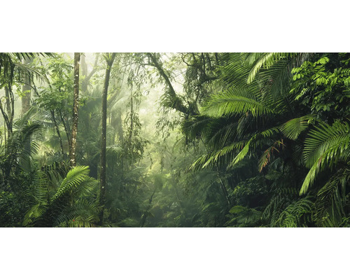 Dichter Dschungel mit üppiger Vegetation und Bäumen