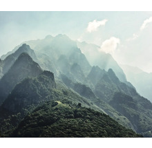 Berglandschaft mit Nebel und Bewaldung