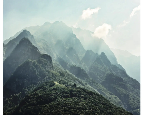 Berglandschaft mit Nebel und Bewaldung