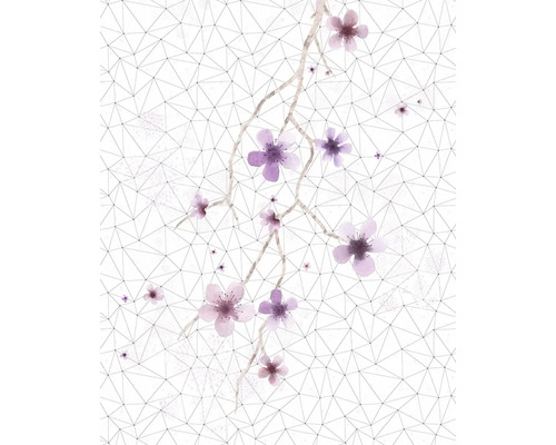 Tapete mit Blumenmuster und geometrischen Formen