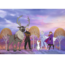 Szene mit den Charakteren aus Die Eiskönigin: Rentier Sven, Kristoff, Schneemann Olaf, Elsa und Anna.