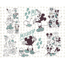 Mickey Mouse Illustration mit Donald Duck und Pluto