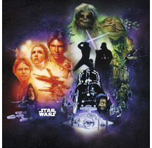 Star Wars Collage mit verschiedenen Charakteren und Raumschiffen