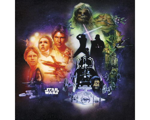 Fototapete Vlies DX5-044 Disney Edition 4 Star Wars Classic Poster Colla 5-tlg. 250 x 250 cm Star Wars Collage mit verschiedenen Charakteren und Raumschiffen