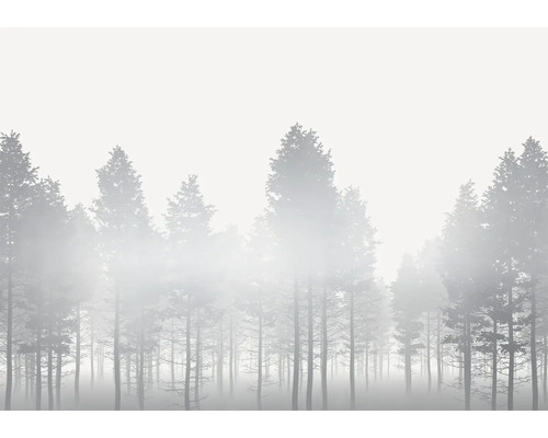Nebelverhangener Wald