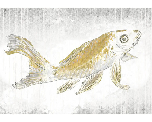 Illustration eines Fisches