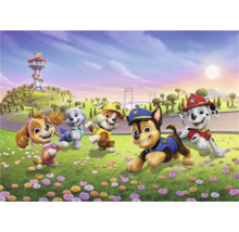 Illustration der Paw Patrol Charaktere in einer Landschaft mit Turm