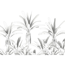 Illustration von Palmen und tropischen Pflanzen