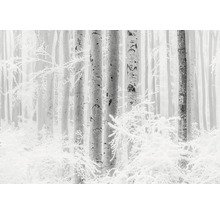 Winterlandschaft mit Bäumen und Schnee