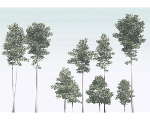 Fototapete Vlies R4-040 Pines 4-tlg. 400 x 280 cm Illustration verschiedener Laubbäume