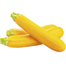 Gelbe Zucchini