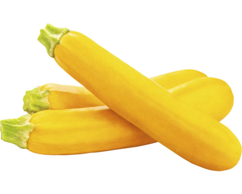 Gelbe Zucchini