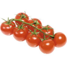 Strauchtomaten