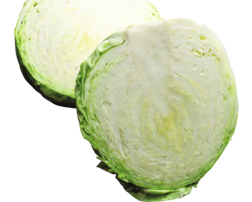 Zwei halbe Köpfe Weißkohl
