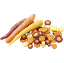 Mehrfarbige Karotten und Karottenscheiben