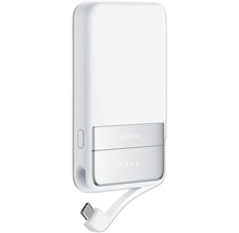 EcoFlow Logo Powerbank mit USB-C Kabel