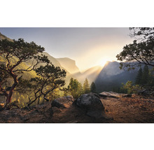 Landschaft mit Bergen, Bäumen und Sonnenaufgang