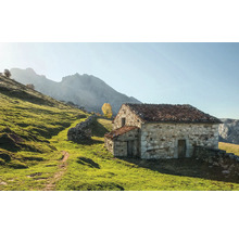 Steinhaus in einer grünen Landschaft mit Bergen