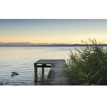 Holzsteg am See mit Schilf