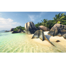 Strandlandschaft mit Felsen und Palmen