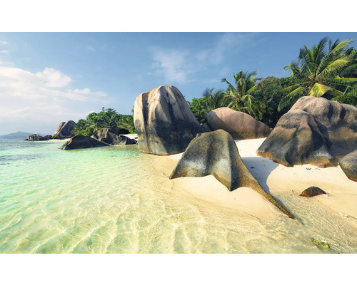 Strandlandschaft mit Felsen und Palmen