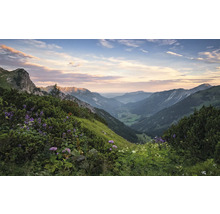 Berglandschaft mit grünen Hängen und blühenden Pflanzen