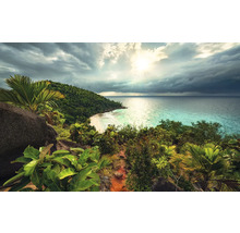 Tropische Landschaft mit Meerblick, Strand und Vegetation