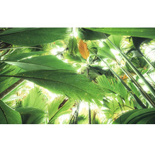 Dichte Vegetation mit großen Blättern