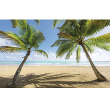 Tropischer Strand mit Palmen und blauem Himmel