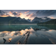 Bergsee mit Baumstämmen und Berglandschaft