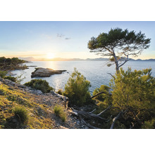 Landschaft mit Küste, Meer und Bäumen