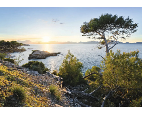Landschaft mit Küste, Meer und Bäumen