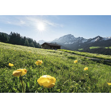 Landschaft mit Blumenwiese, Berghütte und Bergpanorama