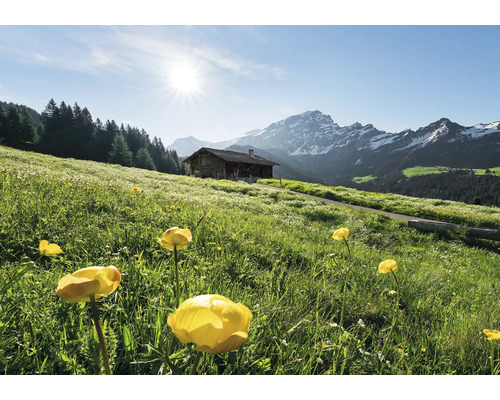 Landschaft mit Blumenwiese, Berghütte und Bergpanorama