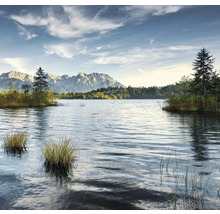 Seenlandschaft mit Bergen und Bäumen im Hintergrund